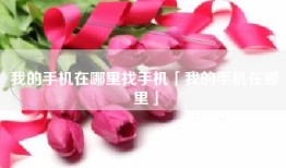 我的手机在哪里找手机「我的手机在哪里」