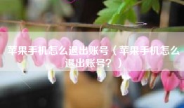 苹果手机怎么退出账号（苹果手机怎么退出账号？）