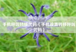 手机呼叫转移代码（手机设置转移呼叫代码）