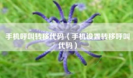 手机呼叫转移代码（手机设置转移呼叫代码）