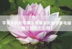 苹果手机和苹果（苹果手机和苹果电脑隔空投送怎么用）
