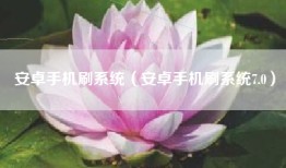 安卓手机刷系统（安卓手机刷系统7.0）