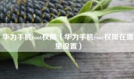 华为手机root权限（华为手机root权限在哪里设置）