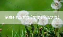 荣耀手机防水吗（华为手机防水吗）