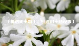 手机透明主题（手机透明主题设置）