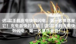 这5款手机充电快如闪电，第一名果然是它！充电最快的手机「这5款手机充电快如闪电，第一名果然是它！」