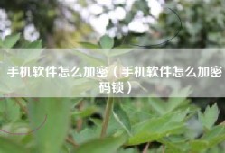手机软件怎么加密（手机软件怎么加密码锁）