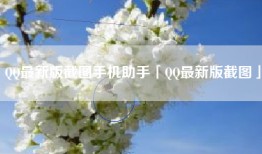 QQ最新版截图手机助手「QQ最新版截图」