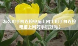 怎么用手机连接电脑上网（用手机连接电脑上网对手机好吗）