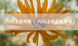 1万以上的手机（1万以上的手机推荐）