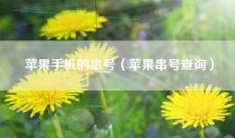 苹果手机的串号（苹果串号查询）