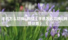 手机怎么切换3g网络（手机怎么切换3g网络设置）