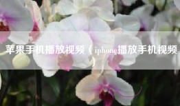 苹果手机播放视频（iphone播放手机视频）