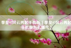 拳皇97风云再起手机版（拳皇97风云再起手机版怎么爆气）