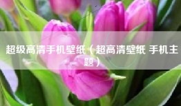 超级高清手机壁纸（超高清壁纸 手机主题）
