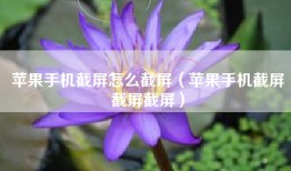 苹果手机截屏怎么截屏（苹果手机截屏截屏截屏）