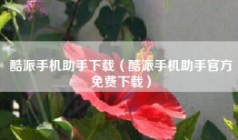 酷派手机助手下载（酷派手机助手官方免费下载）