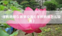 手机转屏在哪里设置（手机转屏怎么设置）