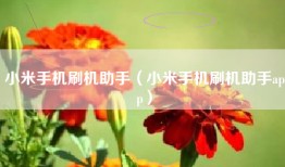 小米手机刷机助手（小米手机刷机助手app）