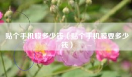 贴个手机膜多少钱（贴个手机膜要多少钱）