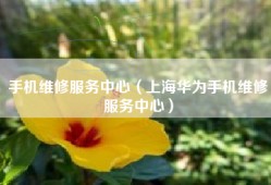 手机维修服务中心（上海华为手机维修服务中心）