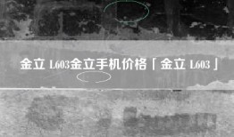 金立 L603金立手机价格「金立 L603」