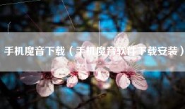 手机魔音下载（手机魔音软件下载安装）