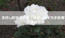 支持5g的华为手机（支持5g的华为手机哪款便宜）