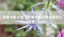 苹果手机记录（苹果手机记录步数怎么设置）