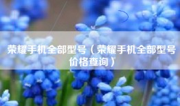 荣耀手机全部型号（荣耀手机全部型号价格查询）