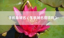 手机版域名（手机域名值钱吗）