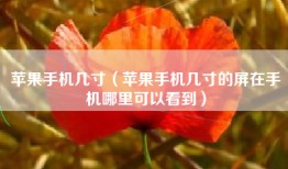 苹果手机几寸（苹果手机几寸的屏在手机哪里可以看到）