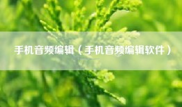 手机音频编辑（手机音频编辑软件）