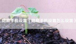 隐藏手机设置（隐藏手机设置怎么设置）