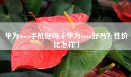 华为nova手机好吗（华为nova好吗？性价比怎样）