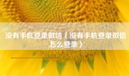 没有手机登录微信（没有手机登录微信怎么登录）