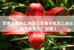 苹果手机怎么退出（苹果手机怎么退出账号恢复出厂设置）