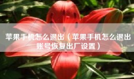 苹果手机怎么退出（苹果手机怎么退出账号恢复出厂设置）