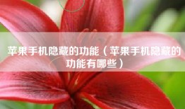 苹果手机隐藏的功能（苹果手机隐藏的功能有哪些）