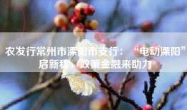 农发行常州市溧阳市支行：“电动溧阳”启新程，政策金融来助力