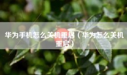 华为手机怎么关机重启（华为怎么关机重启）