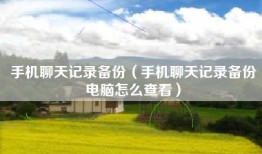 手机聊天记录备份（手机聊天记录备份电脑怎么查看）