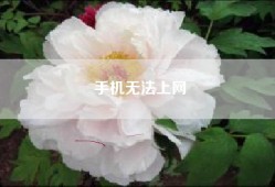 手机无法上网