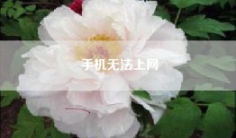 手机无法上网