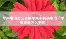 苹果电池怎么更换苹果手机换电池「苹果电池怎么更换」