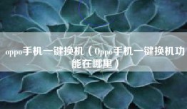 oppo手机一键换机（Oppo手机一键换机功能在哪里）