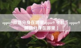 oppor9微信分身在哪里oppor9 手机「oppor9微信分身在哪里」