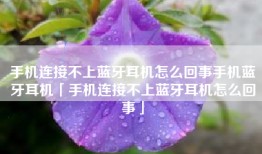 手机连接不上蓝牙耳机怎么回事手机蓝牙耳机「手机连接不上蓝牙耳机怎么回事」