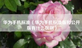 华为手机标准（华为手机标准版和公开版有什么区别）
