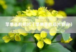 苹果手机芯片（苹果手机芯片查询）